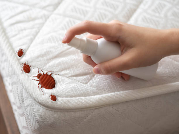 Best Pest Removal Services  in Guilford Center, CT
