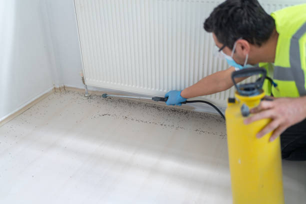 Best Pest Control for Businesses  in Guilford Center, CT
