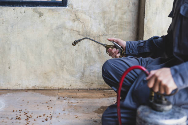 Best Best Pest Control Companies  in Guilford Center, CT